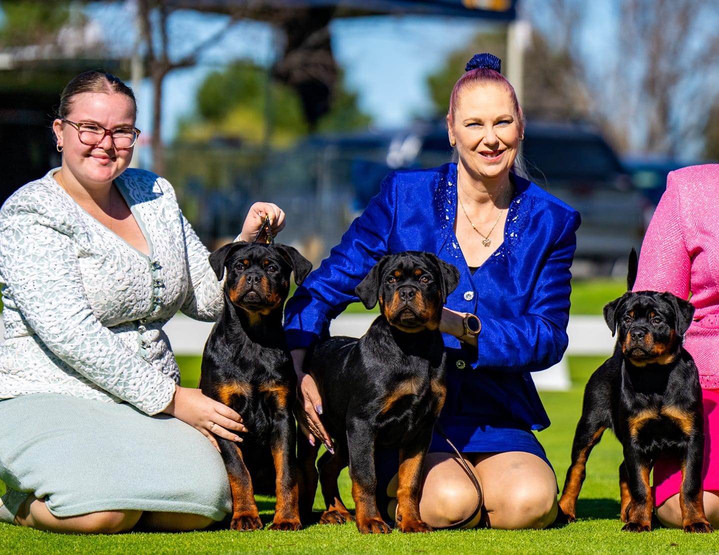 FANTASTIK PAWS PET RESORT & GROOMING Dog Boarding Perth Dog Grooming Perth